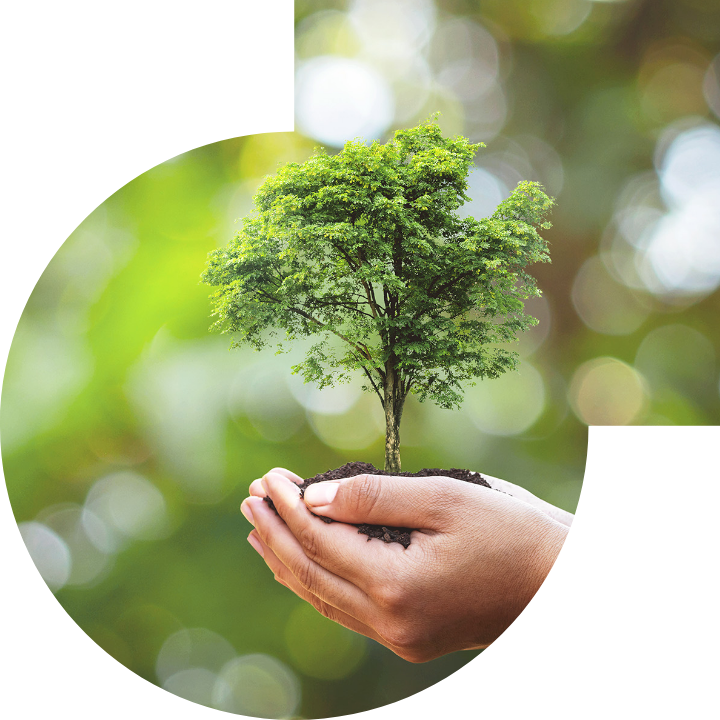 关怀人类、文化、环境与社会